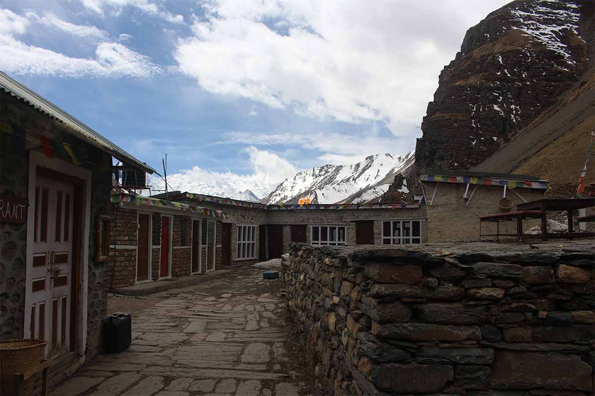 Teahouse with a view in ACT 